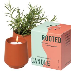 Modern Sprout Rooted Candle - 2 in 1 Cucumber Scented & Soy Candle with Seeds That Grows into Rosemary Plant - 6 oz w/ 42 Hr Burn Time in Matte Glaze Ceramic Vessel Ideal for Indoor Herb Garden