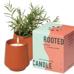 Modern Sprout Rooted Candle - 2 in 1 Cucumber Scented & Soy Candle with Seeds That Grows into Rosemary Plant - 6 oz w/ 42 Hr Burn Time in Matte Glaze Ceramic Vessel Ideal for Indoor Herb Garden