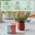 Modern Sprout Rooted Candle - 2 in 1 Cucumber Scented & Soy Candle with Seeds That Grows into Rosemary Plant - 6 oz w/ 42 Hr Burn Time in Matte Glaze Ceramic Vessel Ideal for Indoor Herb Garden