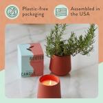 Modern Sprout Rooted Candle - 2 in 1 Cucumber Scented & Soy Candle with Seeds That Grows into Rosemary Plant - 6 oz w/ 42 Hr Burn Time in Matte Glaze Ceramic Vessel Ideal for Indoor Herb Garden
