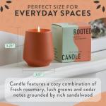 Modern Sprout Rooted Candle - 2 in 1 Cucumber Scented & Soy Candle with Seeds That Grows into Rosemary Plant - 6 oz w/ 42 Hr Burn Time in Matte Glaze Ceramic Vessel Ideal for Indoor Herb Garden