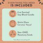 Modern Sprout Rooted Candle - 2 in 1 Cucumber Scented & Soy Candle with Seeds That Grows into Rosemary Plant - 6 oz w/ 42 Hr Burn Time in Matte Glaze Ceramic Vessel Ideal for Indoor Herb Garden