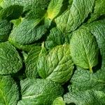 Ecodenta Cranberry 2-in-1 Natural Toothpaste 100ml