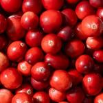 Ecodenta Cranberry 2-in-1 Natural Toothpaste 100ml