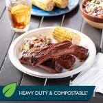 Hefty ECOSAVE Compostable Paper Plates - 45 Count