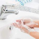 Ginger Lily Farms Eco-Friendly Liquid Hand Soap 12 oz