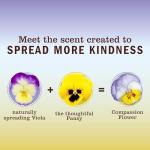 Mrs. Meyer's Clean Day Eco Hand Soap Set