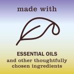 Mrs. Meyer's Clean Day Eco Hand Soap Set