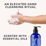 EO Liquid Hand Soap, 12 Ounce (Pack of 3), French Lavender, Organic Plant-Based Gentle Cleanser with Pure Essential Oils