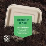 Compostable Clamshell Food Containers - 50-Pack