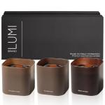 Dusk to Dawn Scented Soy Candle Set