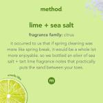 Method Dish Soap, Lime + Sea Salt, Biodegradable Formula, Tough on Grease, 18 Fl Oz (Pack of 1)
