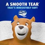 Charmin Ultra Soft Cushiony Touch Toilet Paper, 24 Family Mega Rolls = 123 Regular Rolls