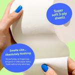 Eco-Friendly 100% Recycled Toilet Paper Rolls