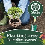 Eco-Friendly 100% Recycled Toilet Paper, 6 Rolls