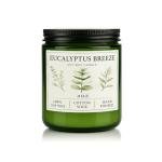 Eucalyptus & Mint Candles for Home Scented, 20 Hours Burn Soy Candle Gift for Women Stress Relief, Meditation, Yoga, Relaxing, Natural Soy Wax for Men and Women, 4oz