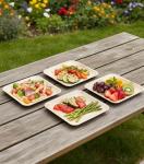 Biodegradable 10" Palm Leaf Plates (50-pack)