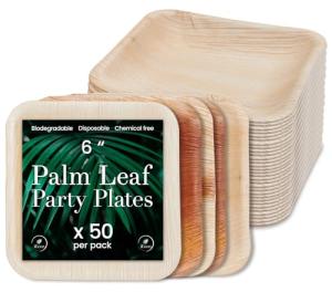 Compostable 6-Inch Square Palm Leaf Plates