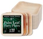 Compostable 6-Inch Square Palm Leaf Plates