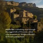 A LA MAISON French Liquid Hand Soap Eco-Friendly Refill Pouch, Rosemary MInt - Natural Hand Wash Made with Essential Oils - Biodegradable, Plant-Based, Vegan, Alcohol & Paraben Free (33.8 oz, 1 Pack)