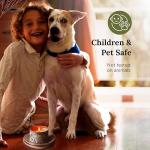 Pure White Sage Candle - Eco-Friendly, Relaxing 6 Oz