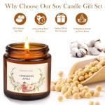 10 Pack Candles for Home Scented Aromatherapy Candles Gifts Set for Women, Natural Soy Wax Amber Candles Set, Birthday, Mother's Day, Christmas, Anniversary Present