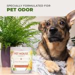 One Fur All - 100% Natural Soy Wax, 20 Fragrances - Odor Eliminator, Appx 60 Hrs Burn Time, Non-Toxic, Reusable Glass Jar Scented Candles – Pet House Candle, Fresh Citrus