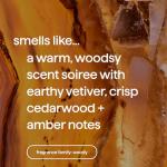 Method Gel Hand Soap Refill, Vetiver + Amber, 34 Fl Oz (Pack of 1) (Packaging May Vary)