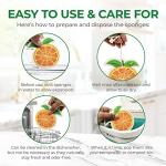 AIRNEX Biodegradable Cellulose Compressed Sponges Bulk - Fruit Shaped Kitchen Pack of 12 - Eco Friendly, Odor Free, Natural, Pop Up Compostable Scrubbers for Washing Dishes