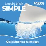 Fresh Linen Scent Laundry Sheets for 100 Loads