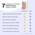 Betterway Bamboo Paper Towels - 6 Rolls, 2 Ply - Plastic Free, Disposable Kitchen Paper Towels - Select Size, Tree Free, Compostable, Strong & Absorbent, No Dyes