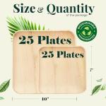 Eco-Friendly Palm Leaf and Bamboo Disposable Plates Set
