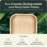 Eco-Friendly Palm Leaf and Bamboo Disposable Plates Set