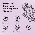 Pronounce Laundry Detergent Powder Alternative | Earth-Derived Ingredients, Eco-Friendly, Safer for Sensitive Skin, Eczema, and Babies. Stain + Smell Fighting. HE Safe (Lavender, 120 Loads).