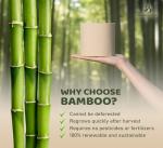 Bamboo Story Premium Bamboo Toilet Paper, PFAS Free, Chemical Free Toilet Paper, Unbleached, (24) 3PLY & 300 Sheets, FSC Certified, Organic Brown, Plant-Based, Tree-Free, Plastic Free, BPA Free (24)