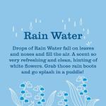 Mrs. Meyer's Clean Day Laundry Scent Boosters, Rain Water Scent, 18oz