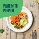 Compostable 10" Bagasse Eco-Friendly Disposable Plates