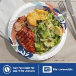 Dixie Eco-Friendly 10-Inch Paper Plates, 204 Count