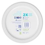 Dixie Eco-Friendly 10-Inch Paper Plates, 204 Count