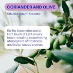 Eco-Friendly Dish Soap Refill - Olive & Coriander