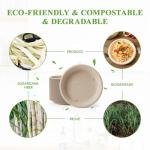 ECOLipak 125 Pack Paper Plates 10 inch 100% Compostable Plates Heavy-Duty Dinner Plates Disposable Bagasse Deep Dish Natural Biodegradable Eco-Friendly Sugarcane Plates(Brown)