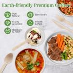 ECOLipak 300 Count Disposable Wooden Cutlery Set, 100 Knives, Forks and Spoons each, Splinter-Free Compostable Wooden Disposable Utensils for Party, Camping, Traveling, Family Dinners