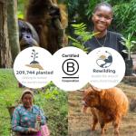 Bumboo Bamboo Toilet Roll 24 Pack | Unbleached Toilet Paper 3 ply, 300 Sheets | Eco Toilet Rolls | Plastic-Free, Soft, Strong & Sustainable Toilet Tissue, Beige