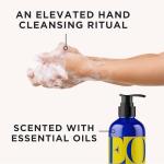 EO Liquid Hand Soap, 12 Ounce (Pack of 3), Lemon and Eucalyptus, Organic Plant-Based Gentle Cleanser with Pure Essential Oils