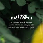 EO Liquid Hand Soap, 12 Ounce (Pack of 3), Lemon and Eucalyptus, Organic Plant-Based Gentle Cleanser with Pure Essential Oils