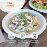 World Centric Wheat Straw/Bagasse Compostable 9-Inch Fiber Plate, 20-Piece, 9 inch