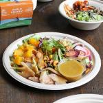 World Centric Wheat Straw/Bagasse Compostable 9-Inch Fiber Plate, 20-Piece, 9 inch