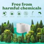 Caboo Tree Free Toilet Paper, Septic Safe Toilet Tissue, Plastic Free, Non Toxic, Chemical Free, 2 Ply Bathroom Toilet Paper | Pack of 12 Double Rolls, 300 Sheets Per Roll