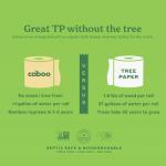 Caboo Tree Free Toilet Paper, Septic Safe Toilet Tissue, Plastic Free, Non Toxic, Chemical Free, 2 Ply Bathroom Toilet Paper | Pack of 12 Double Rolls, 300 Sheets Per Roll