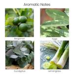 Natur IX Cleansing Scented Candles for Home | Sage & Palo Santo | Natural Non Toxic Soy Candles with Essential Oils | 50 H Long Burning | (Energy + Balance | Bergamot & Sage)